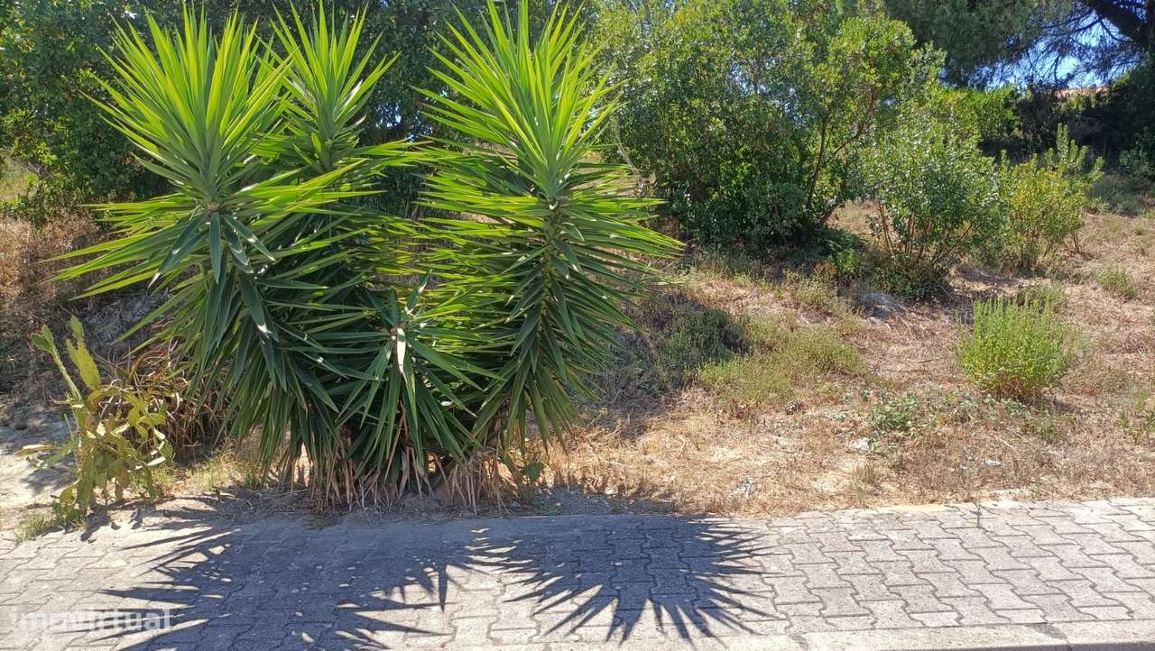 Terreno bem localizado - Grande imagem: 3/3