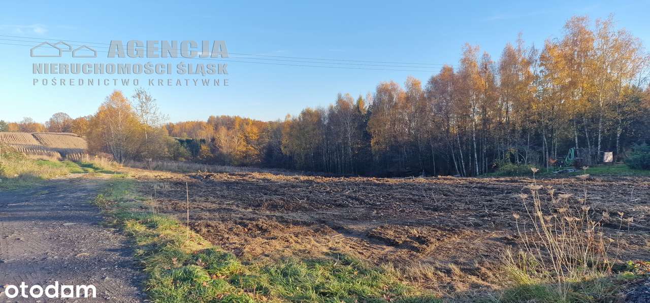 5 działek budowlanych, RUPTAWA, bez pcc-8