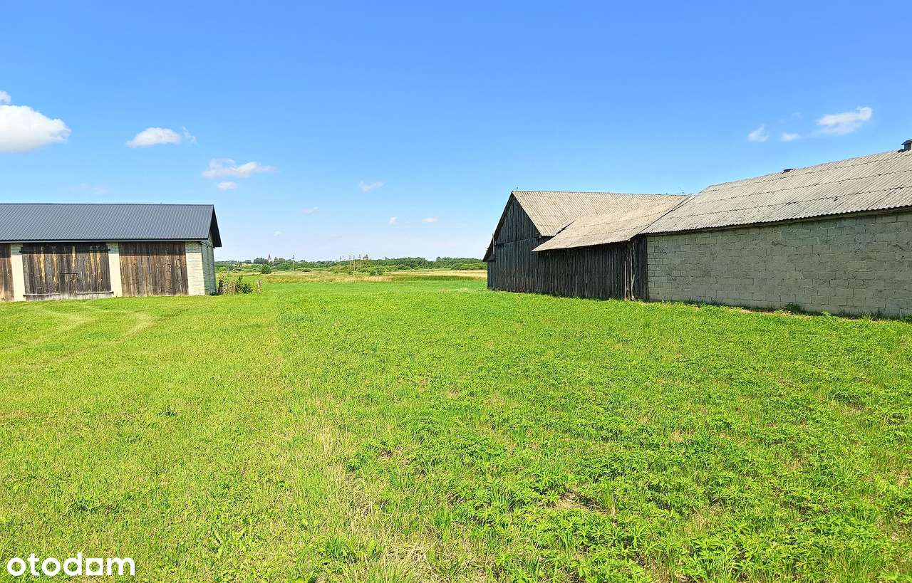 Działka budowlana na Roztoczu - Pełny obrazek: 4/14