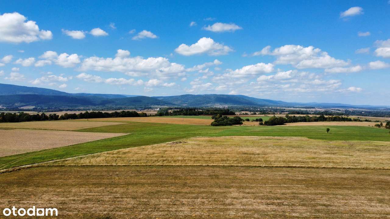 Widokowa działka budowlana. - Pełny obrazek: 5/5