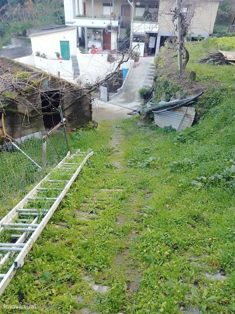 Terreno Rústico em Cinfães - Viseu Venda de Terreno em Cinfães - Viseu - Grande imagem: 3/28