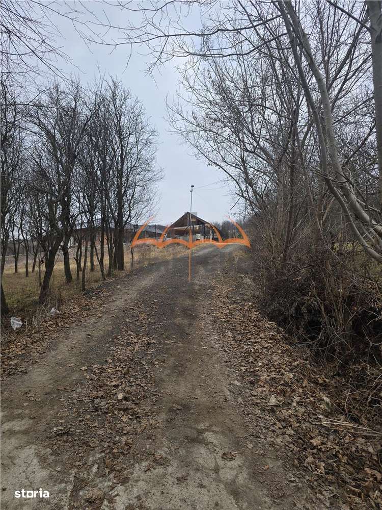 2 Terenuri de vanzare in Popesti Baciu 500m²+ 2.030m². - Imagine principală: 4/7