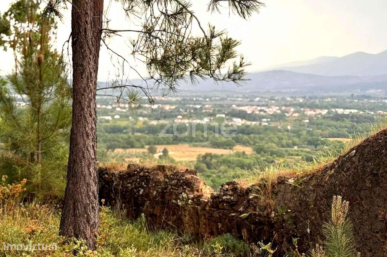 QUINTA no ALCAIDE – FUNDÃO-41