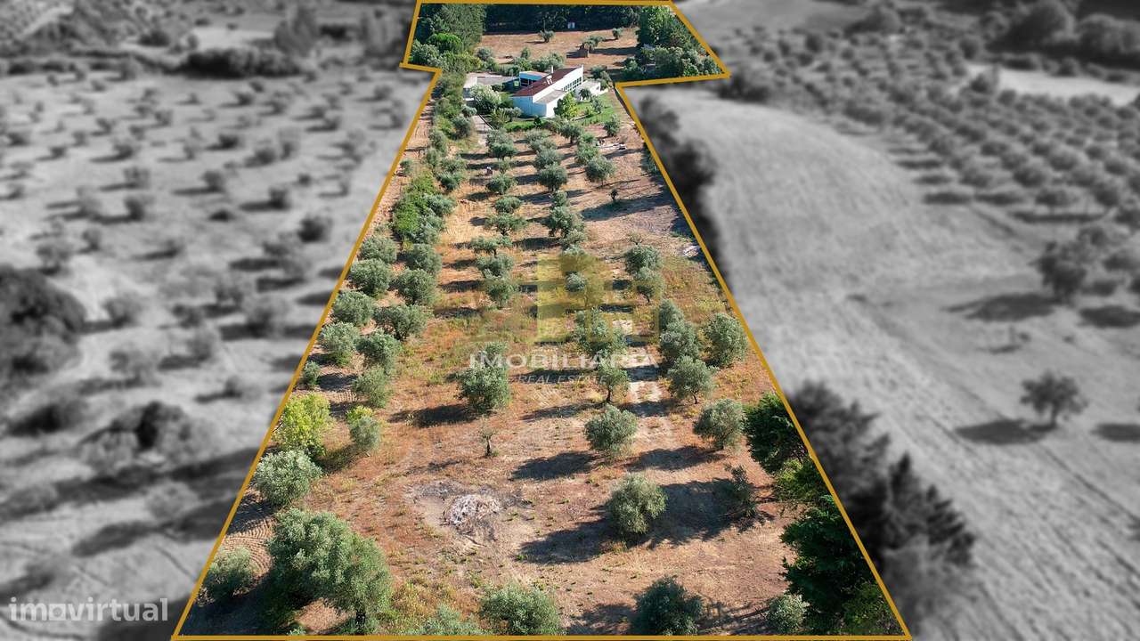 Quinta T5 Venda em Moçarria,Santarém-56