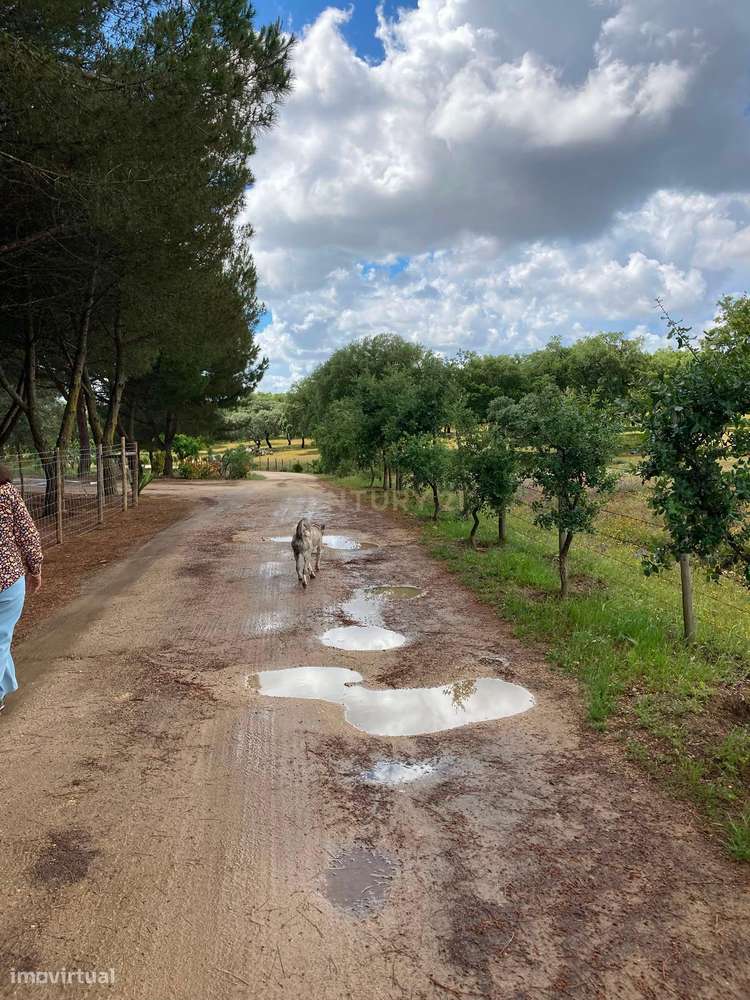 Herdade da Pedra Longa — Um Património Único no Coração do Alentejo-4