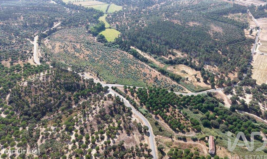 Terreno em Alpiarça de 462520,00 m2 - Grande imagem: 4/14