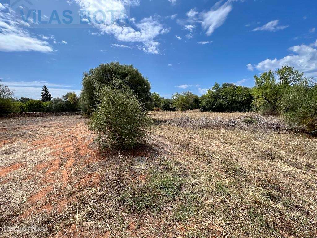 Lote de Terreno em Vale de Éguas - Grande imagem: 5/12