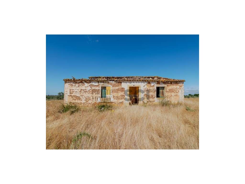 Pequena Quinta com Ruína para Recuperar em Vila Nova de São Bento-18