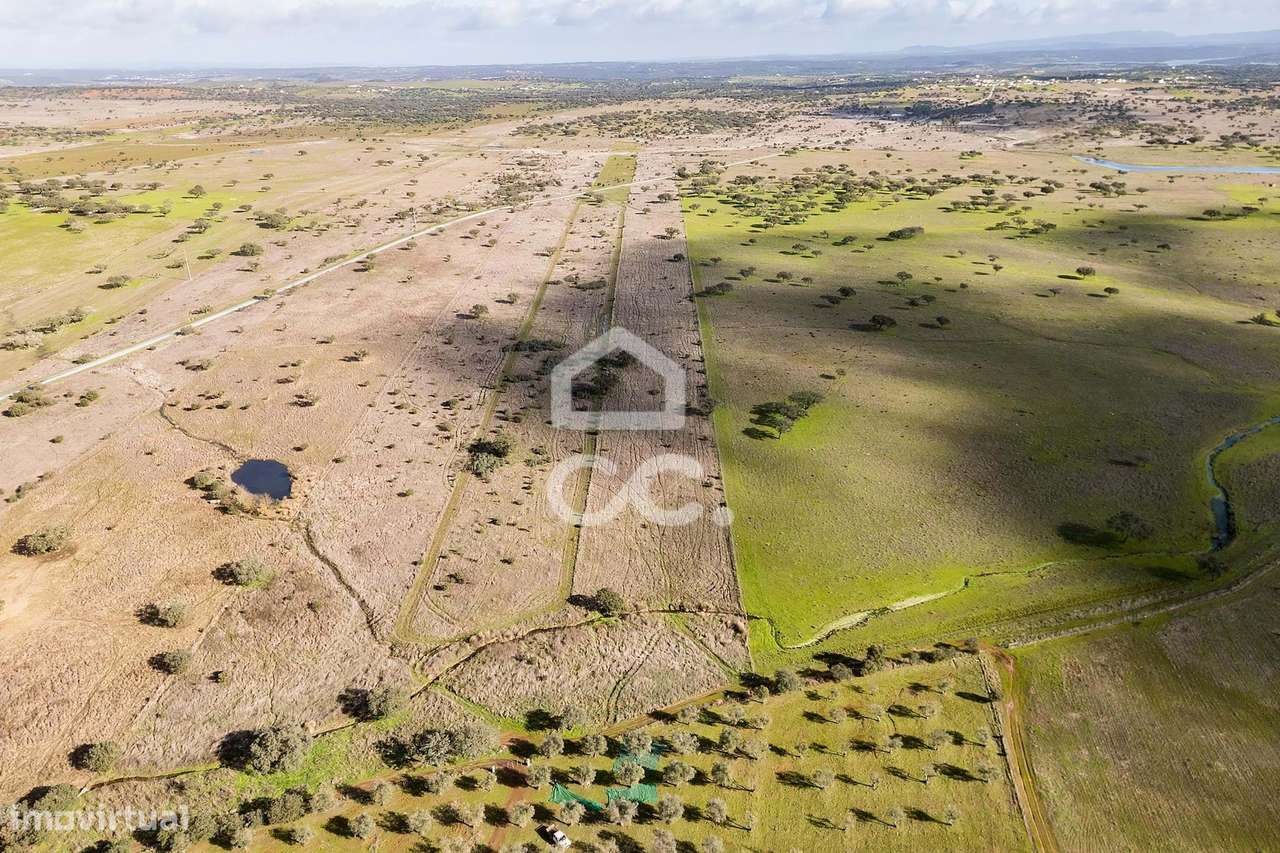 Terreno de 5,4 ha c/ Viabilidade de Construção | Capelins, Alandroal-37