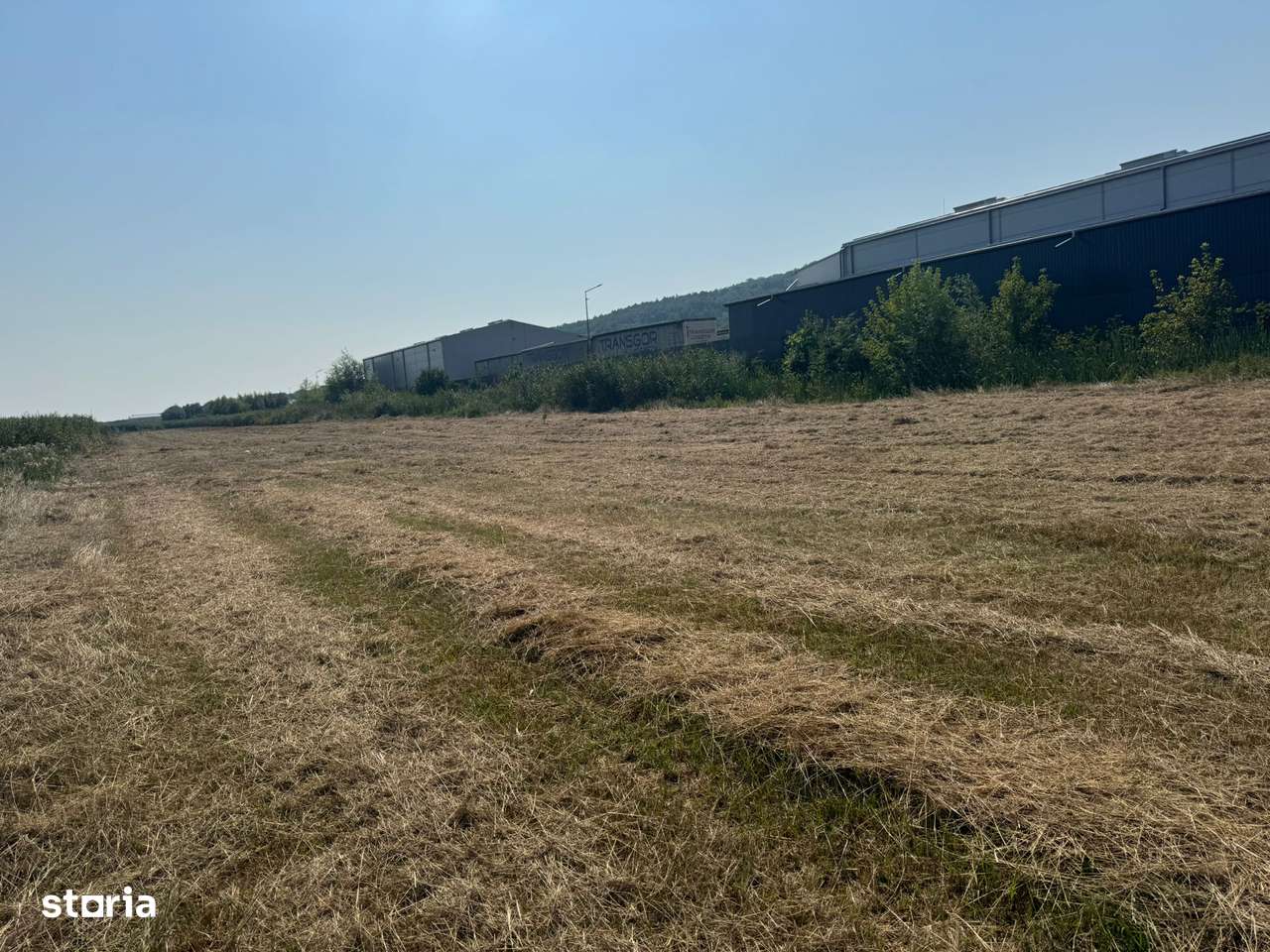 Teren intravilan industrial – Tomești, zona Contom - Imagine principală: 3/5