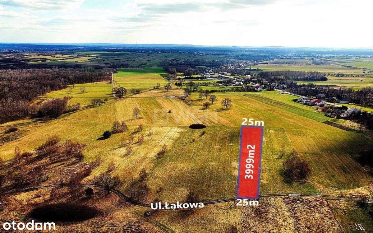 Działka, 3 999 m², Myszków - Pełny obrazek: 2/2