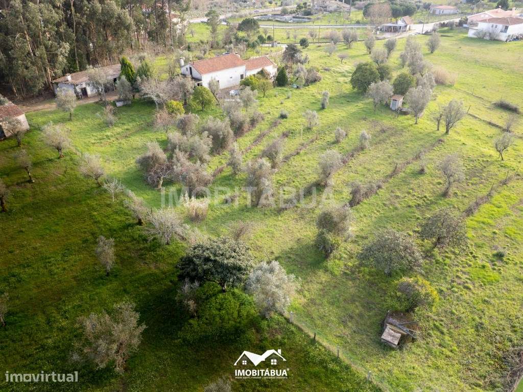 Moradia T3+2 com terreno de cultivo e anexo-17