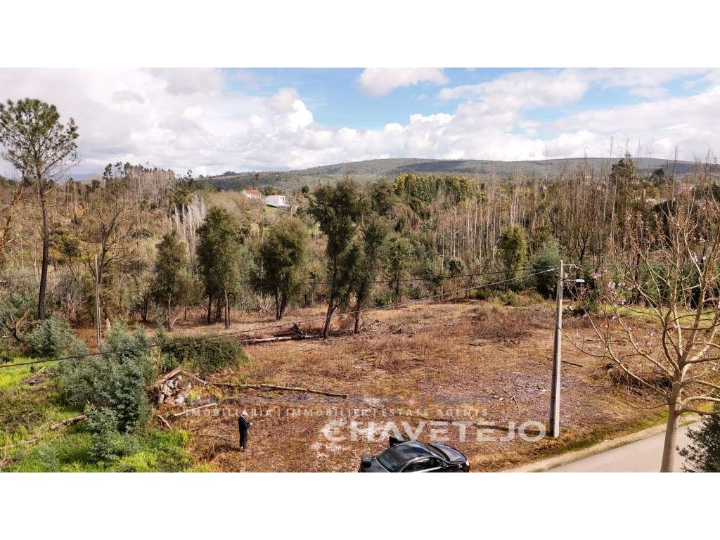 2 lotes para construção (1) com projecto de construção de T3 térreo... - Grande imagem: 2/15