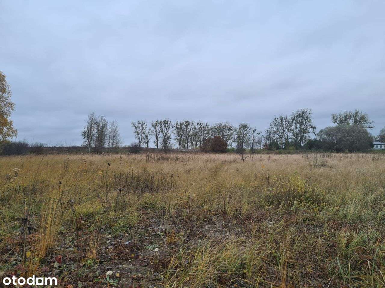 Działka budowlana nad jeziorem Będzin!-11