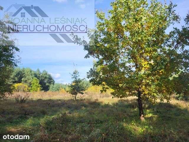 Działka, 8 080 m², Chechło - Pełny obrazek: 3/7