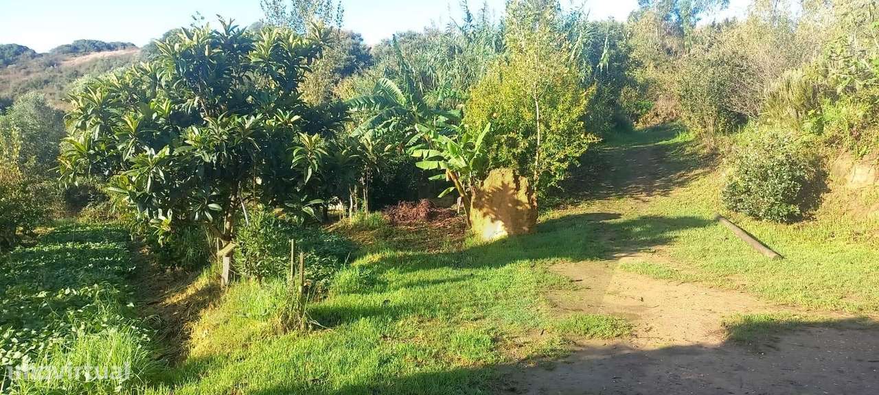 Terreno com Projeto Vivo de Permacultura e Potencial de Construção | P-14