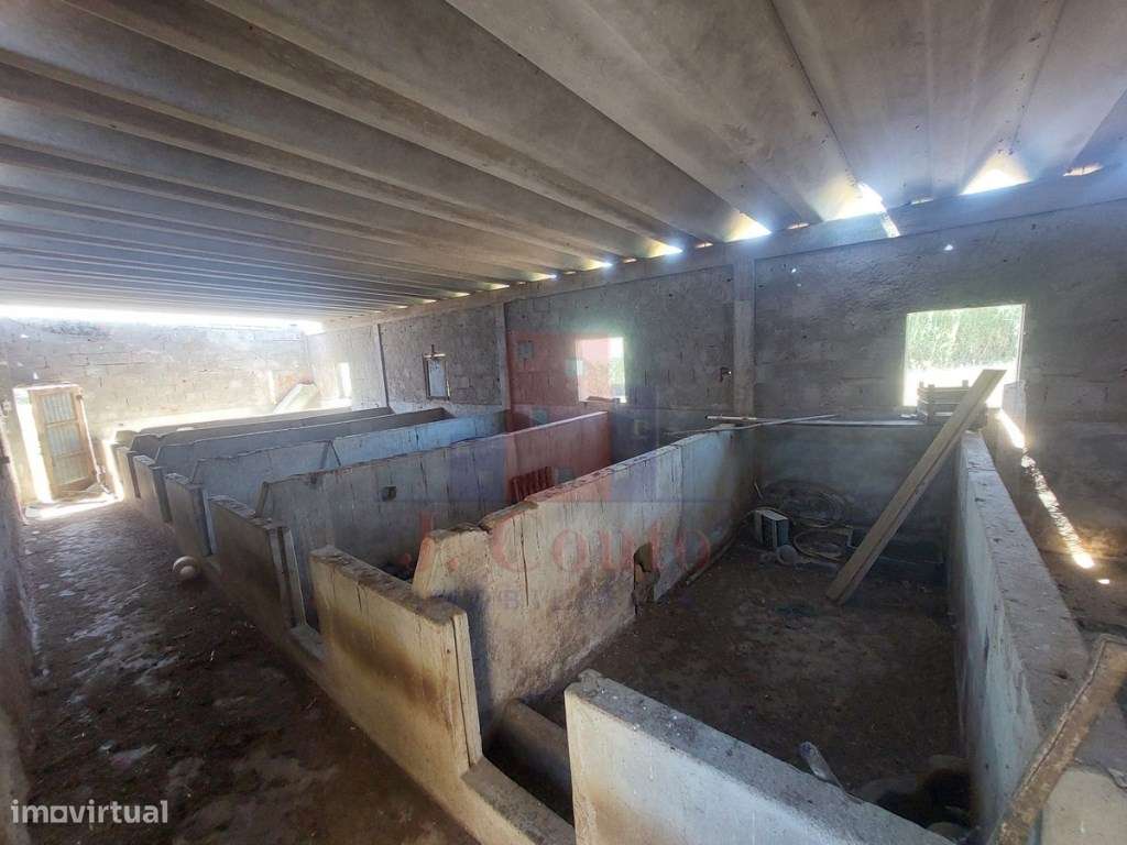 Terreno com ruina com viabilidade de construção extra-16