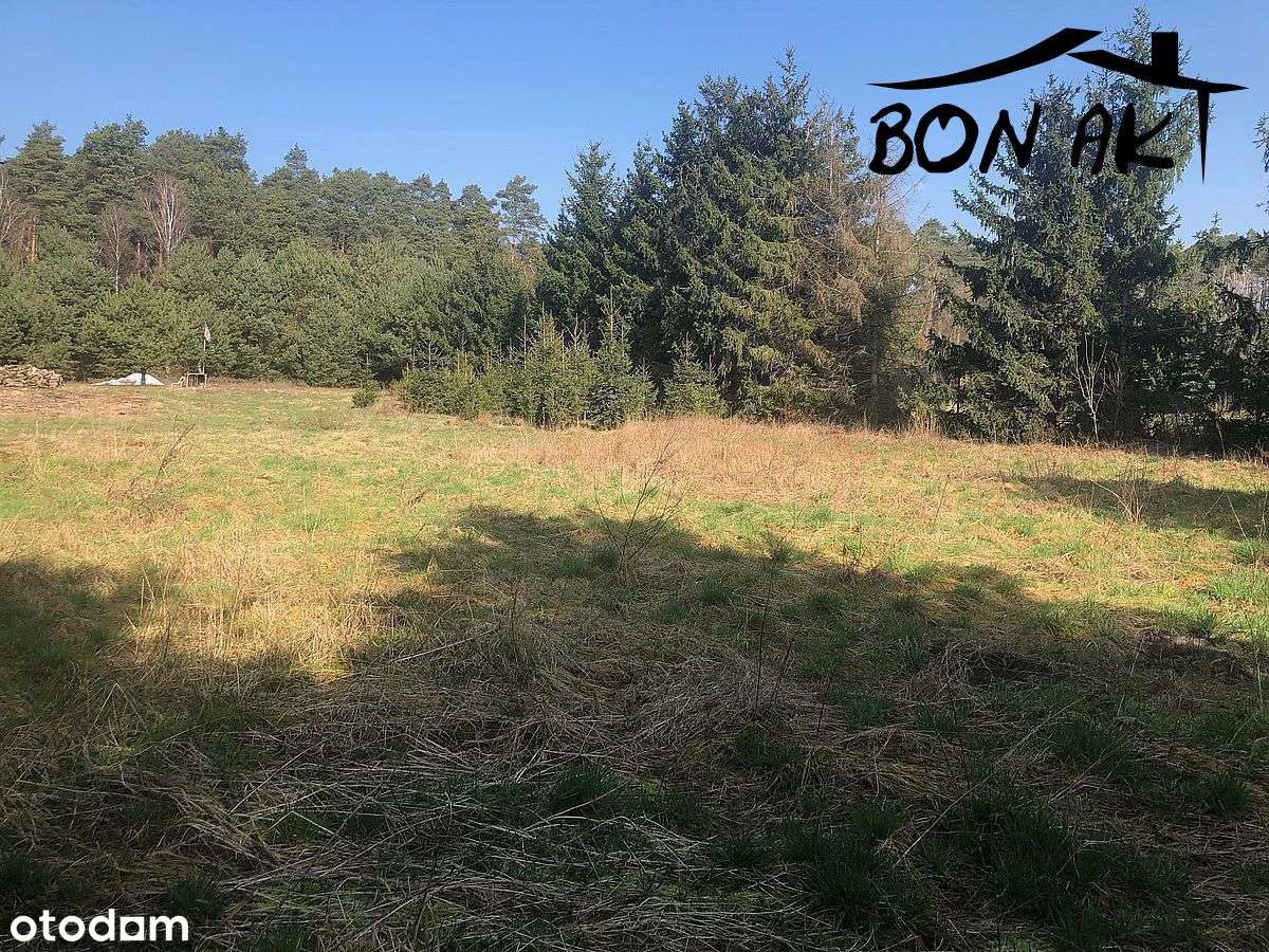 Działka budowlana przy lesie - Pełny obrazek: 5/11