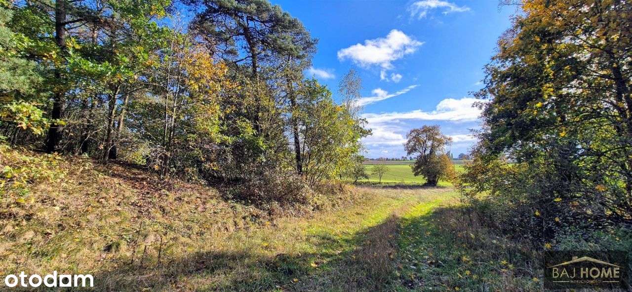 Bochlin działka na sprzedaż - Pełny obrazek: 5/8