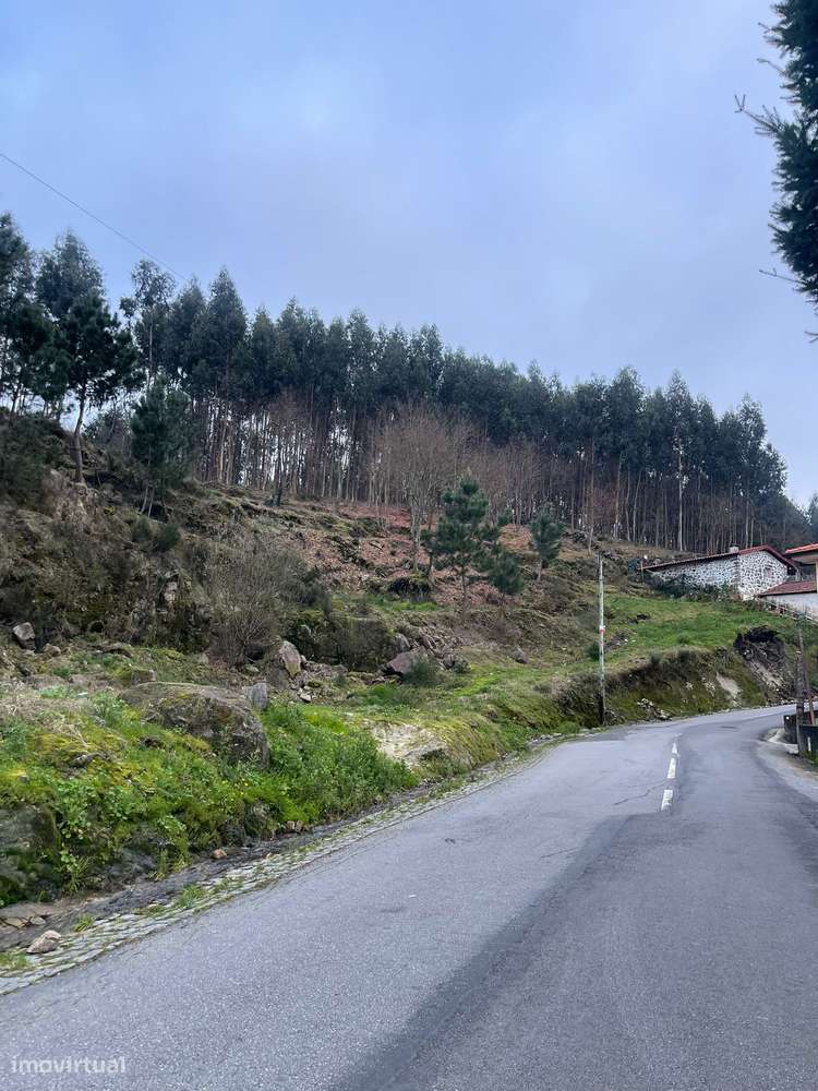 Terreno com 3.093 m²-6