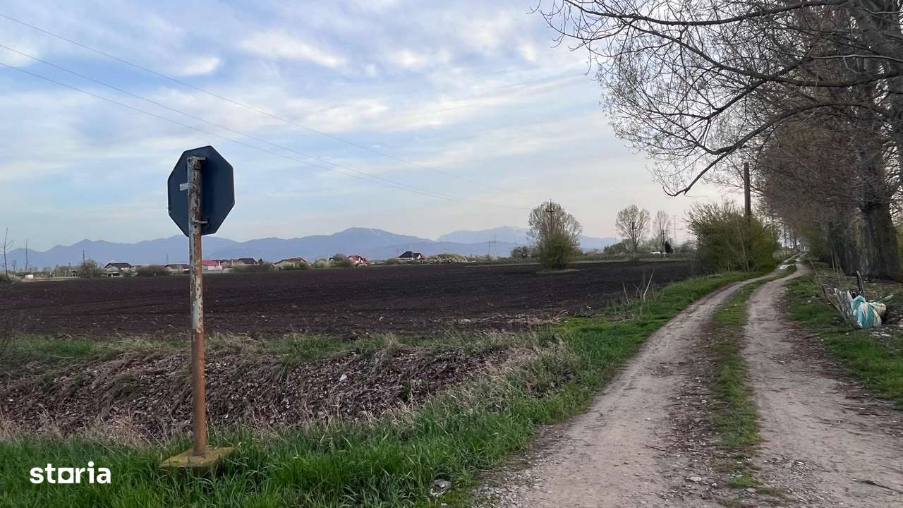 Teren 50000mp Extravilan-Intrare Halchiu-Cod 4486 - Imagine principală: 4/8