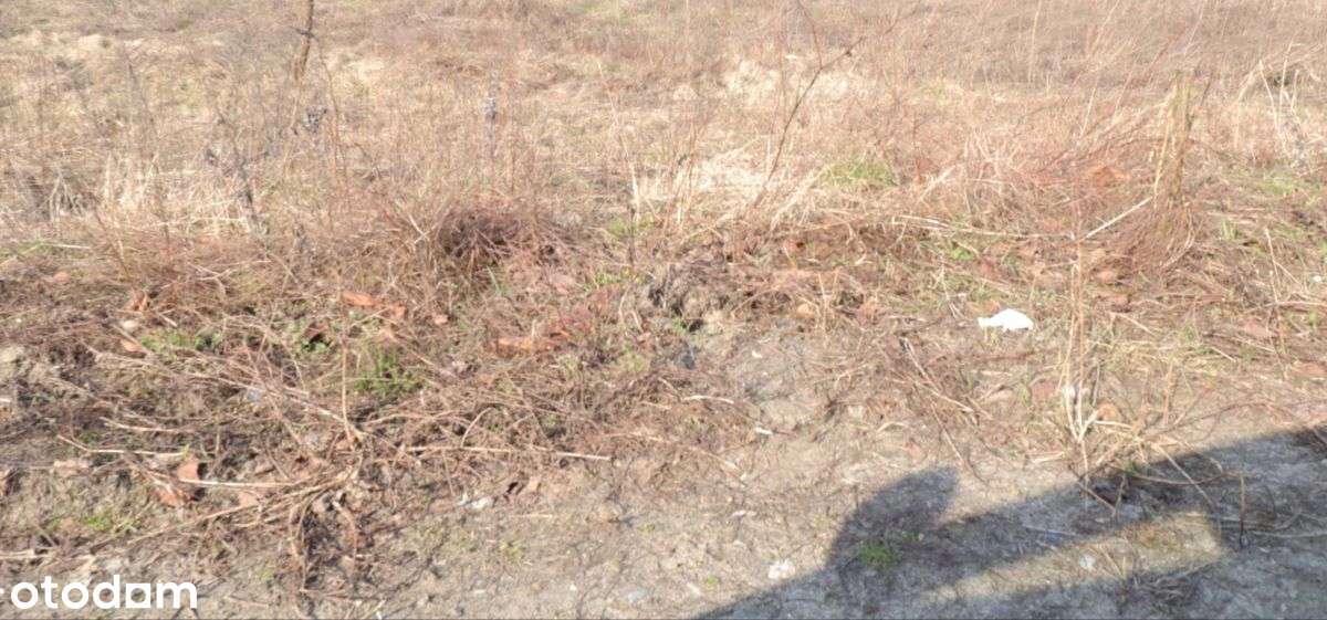 Działka położona na granicy Matemblewa i Moreny-3