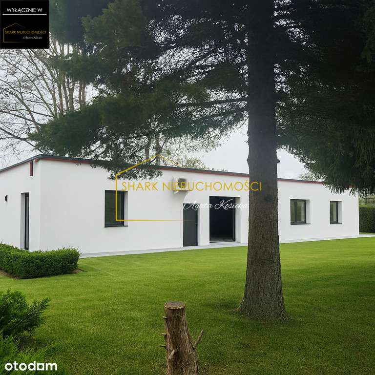 Duży potencjał | nad samą Wartą | lokal ok. 65m2 - Pełny obrazek: 3/8