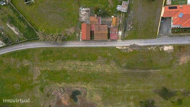 Terreno com viabilidade de construção, Tocha, Cantanhede - Grande imagem: 5/9