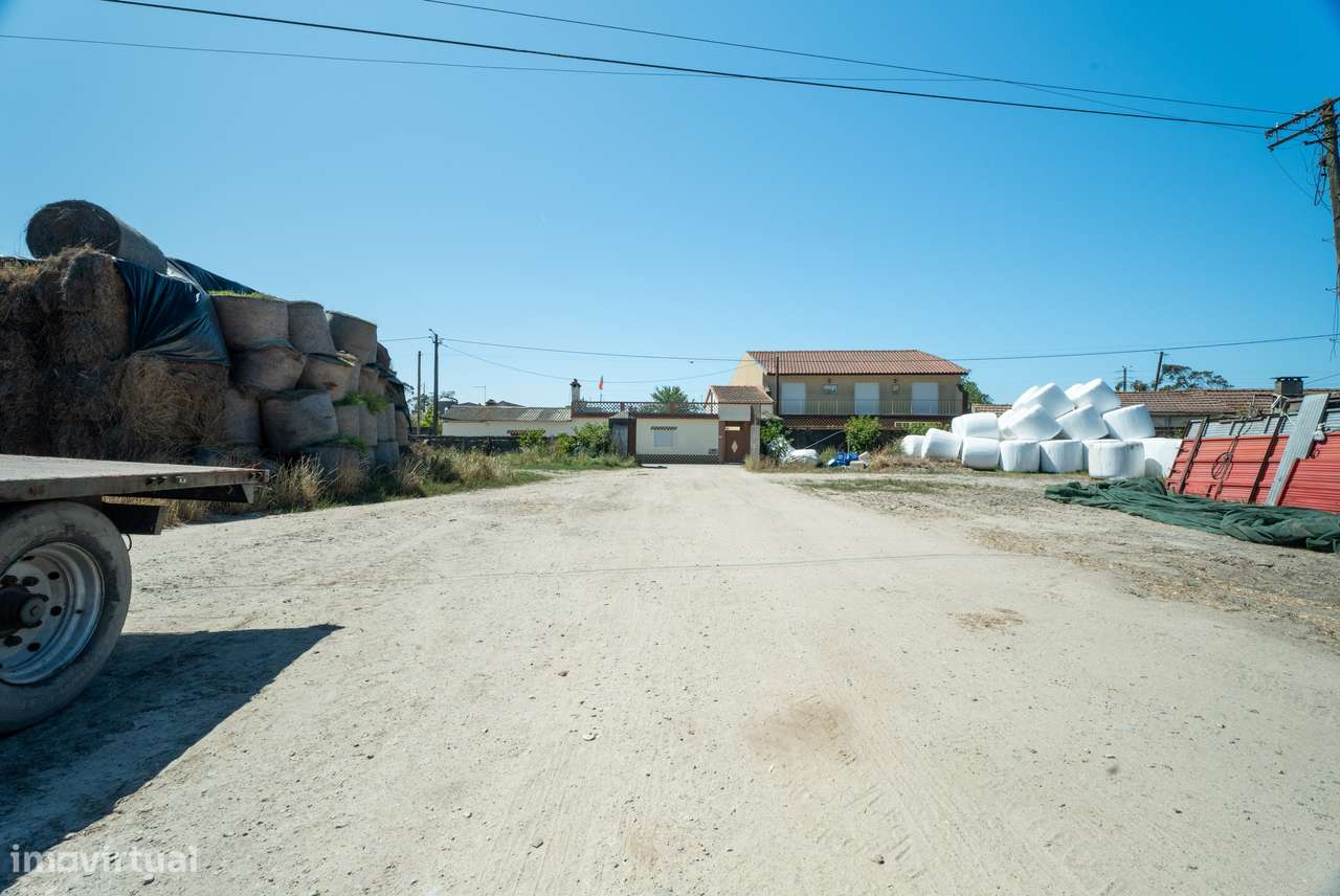 Terreno para venda - Murtosa-9