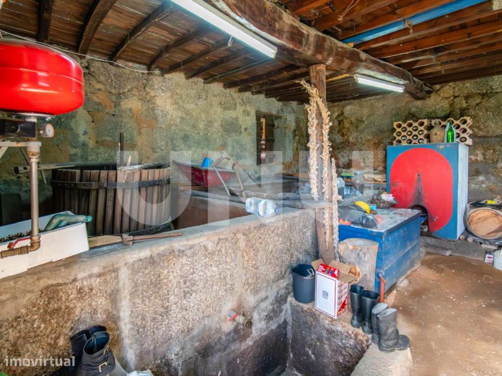 Quinta T2 com Habitação, Infraestruturas Agrícolas e Terreno com Vi...-32