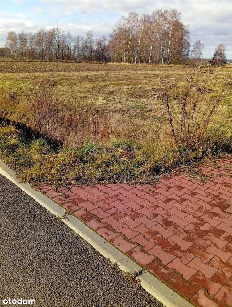 Działka, 1 349 m², Kopciowice - Pełny obrazek: 5/5