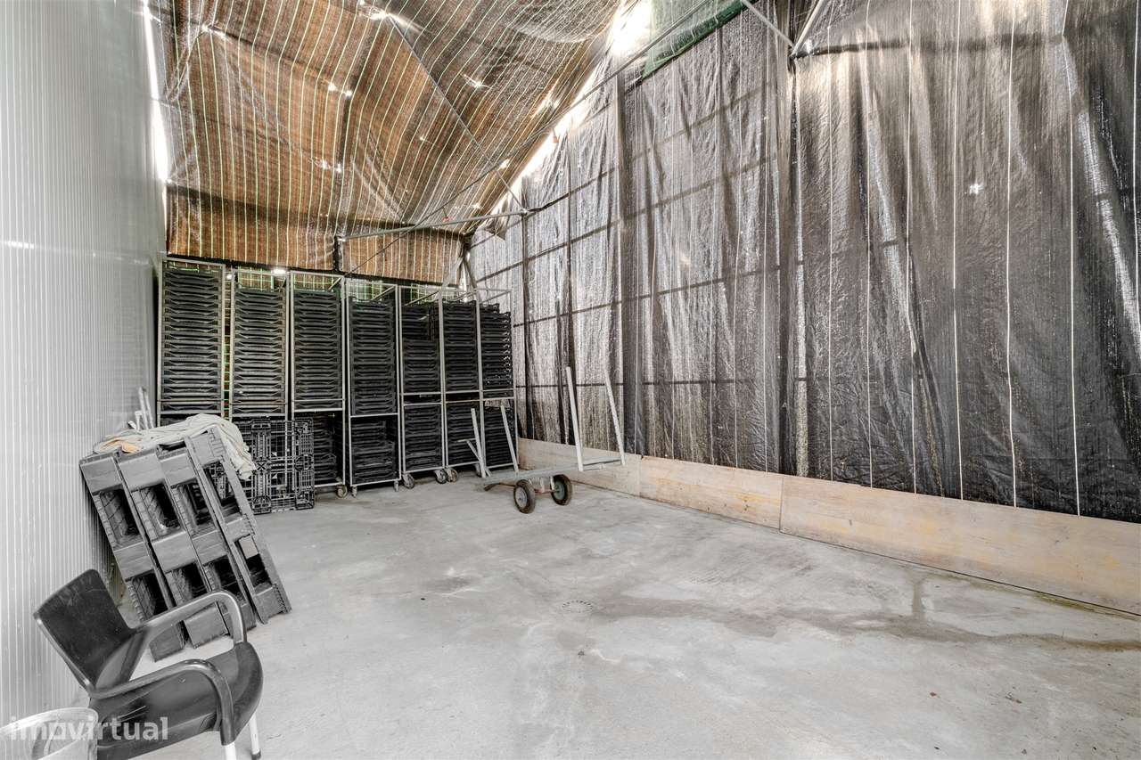 Quinta Biológica - Monte de Palma em Sao Manços com negócio.-29