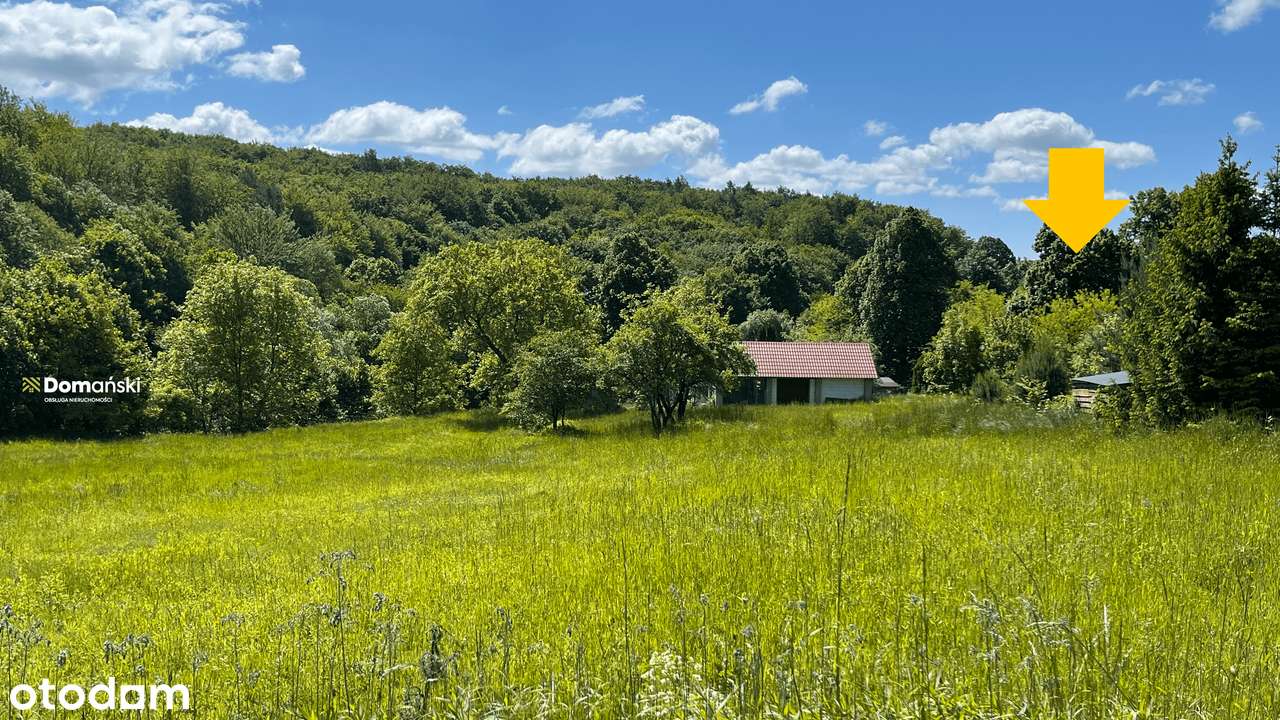 Realizuj Marzenia: Własne 28 ar pod lasem na magicznym Roztoczu! z WZ!-8