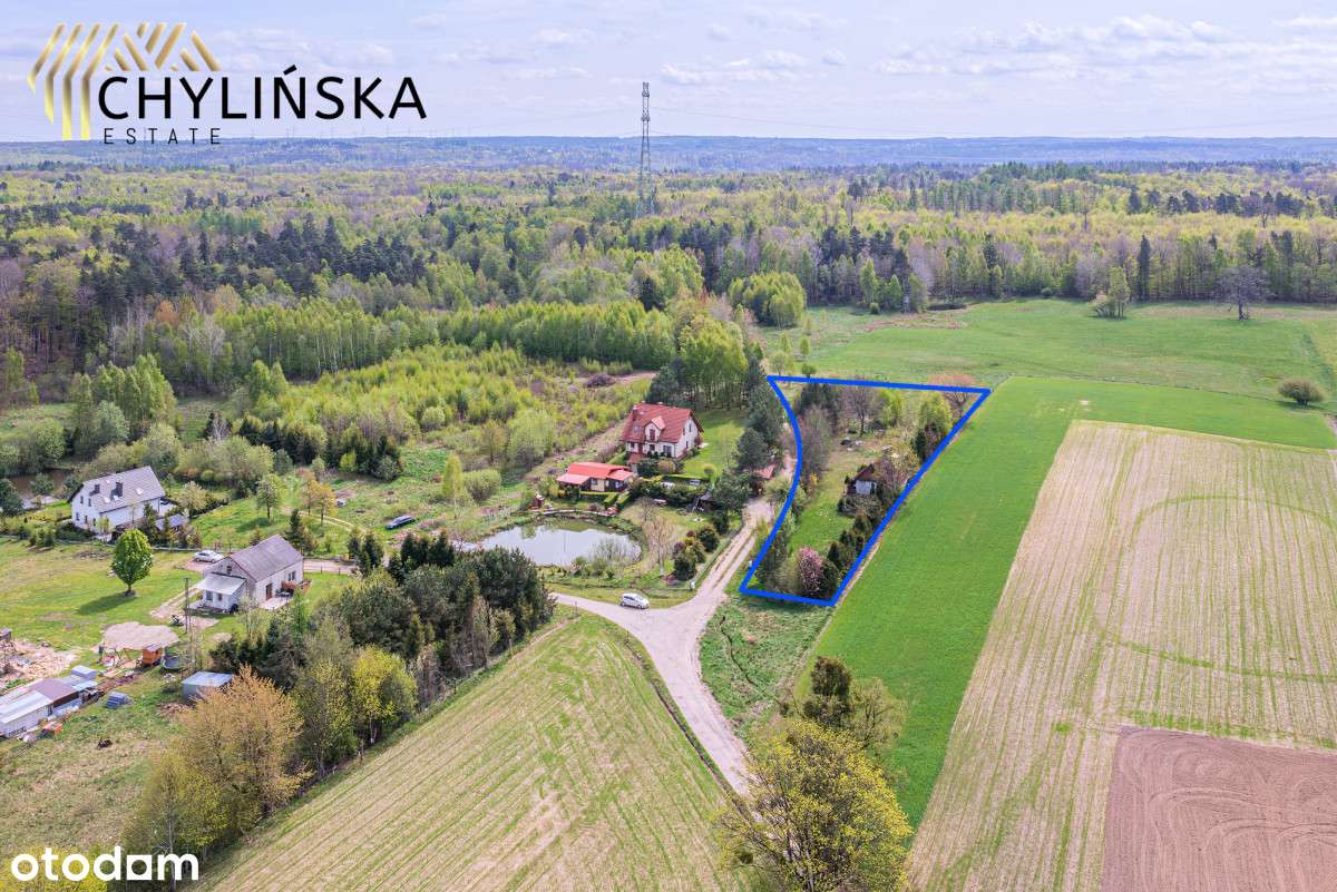 Najpiękniej położna działka w Skrzeszewie - Pełny obrazek: 4/11