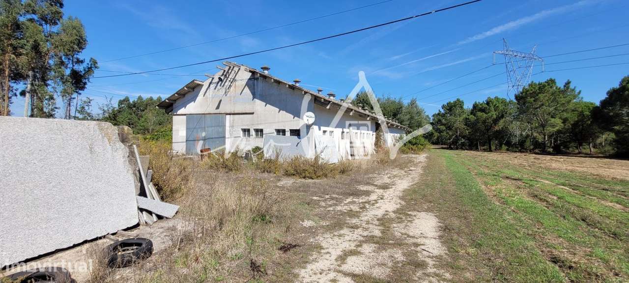 Armazém - Grande imagem: 2/16