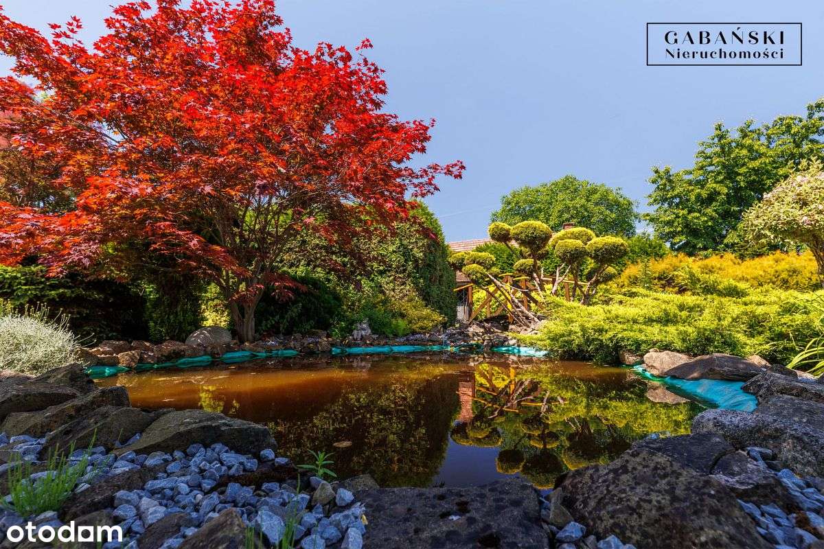 Dom po remoncie z pięknym ogrodem - Wola Łużańska - Pełny obrazek: 5/20