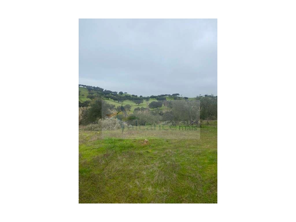 Terreno Misto em Vila Verde de Ficalho - Serpa (Beja, Portugal)-8