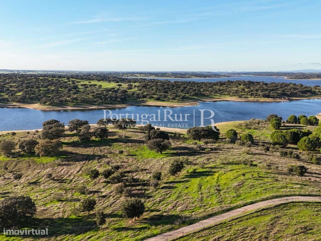 Herdade de 36,5ha na Barragem do Caia com Projeto Aprovado - Grande imagem: 5/60