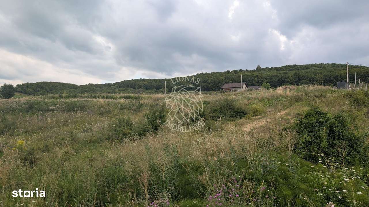 Teren 1000 mp cu utilitati-ideal casa, cabana, investitie-Dealul Jelne - Imagine principală: 5/5