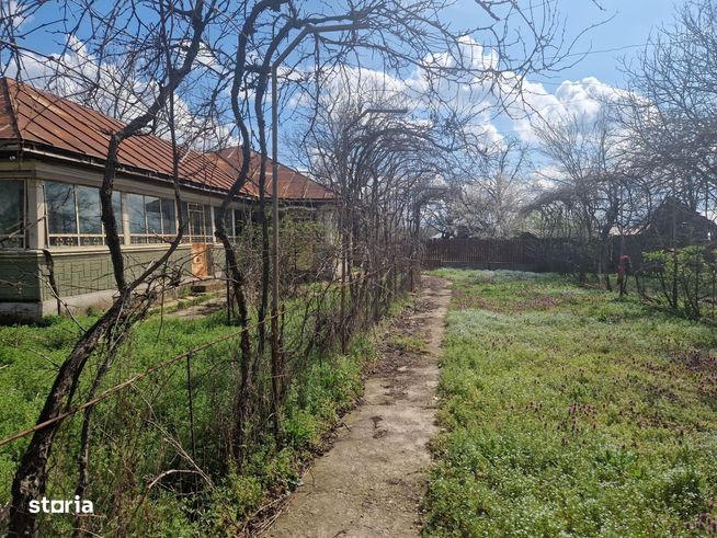 Cafrom Imobiliare-EXCLUSIV-Puchenii Mari-Imobil de Vanzare-5