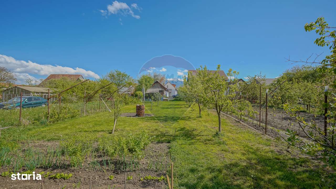 Spatiu Comercial/Afacere si casa de vânzare/zarnesti/Brasov - Imagine principală: 4/10