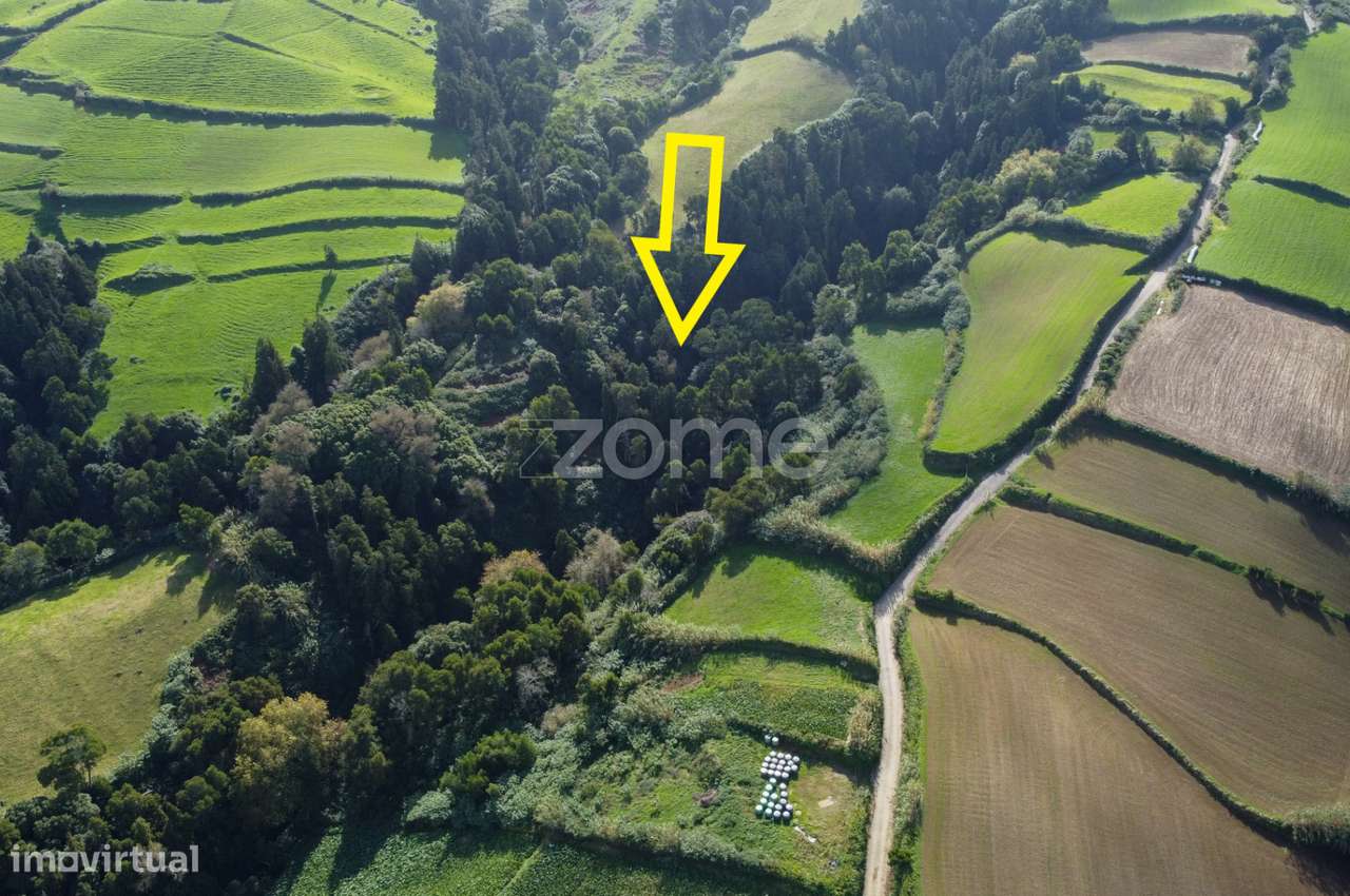 Terreno composto por mata com 13420m2 - Grande imagem: 3/5