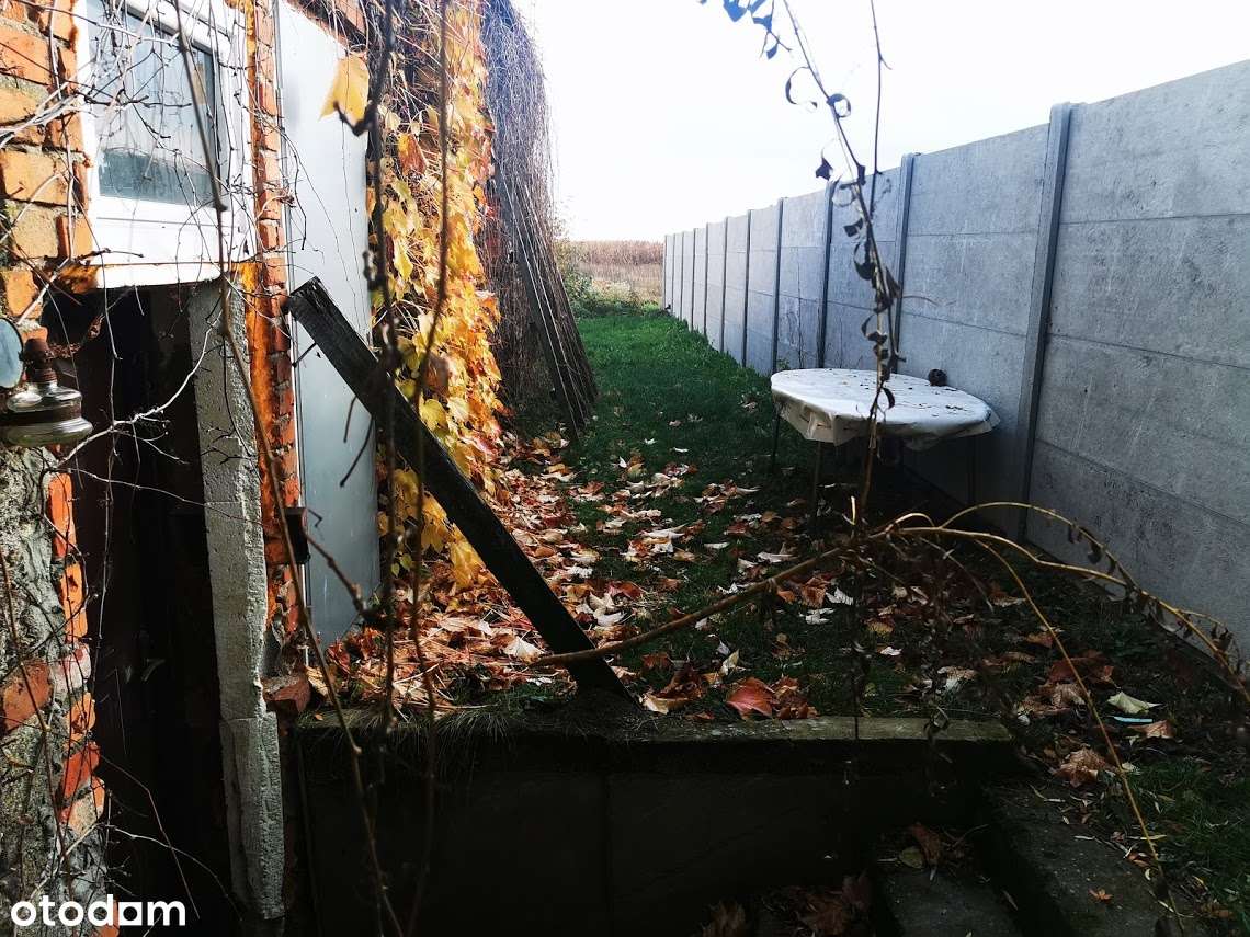 działka 2681m2/ budynek 50m2/ możliwość budowy domu-2