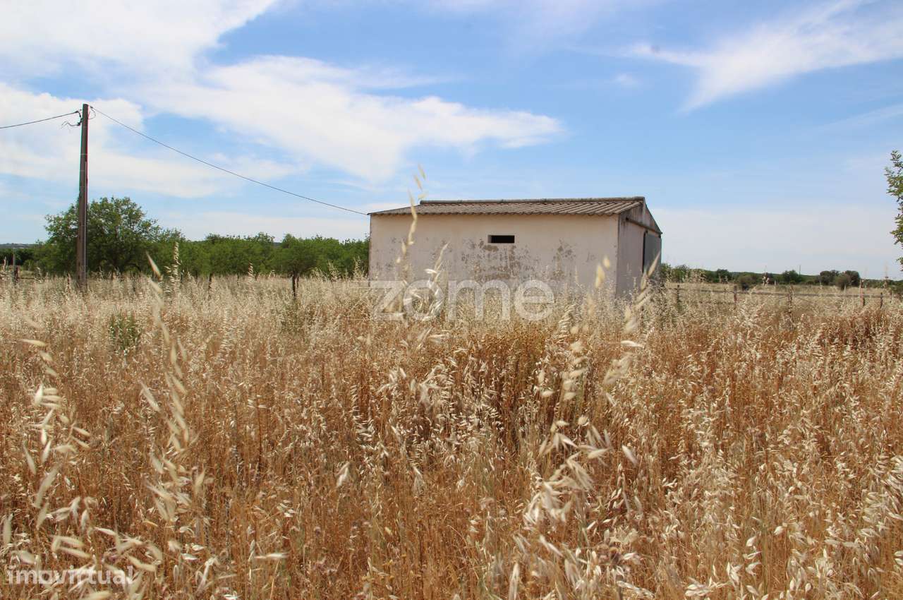 Terreno rústico com uma área generosa de 3 Hectares totalmente plan... - Grande imagem: 2/15