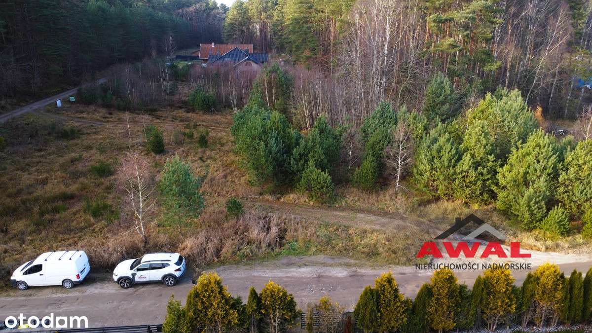 Działka bardzo blisko lasu - cisza i spokój - Pełny obrazek: 5/17