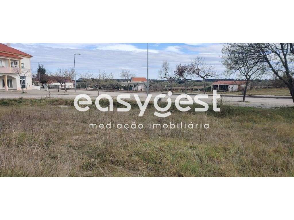 Terreno Urbano para Moradia localizado na aldeia da Lardosa-Castelo... - Grande imagem: 3/32