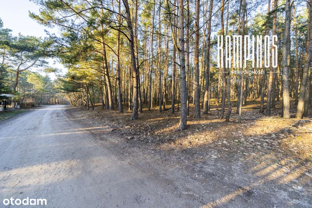 Działka z widokiem na Kampinoski Park Narodowy-1