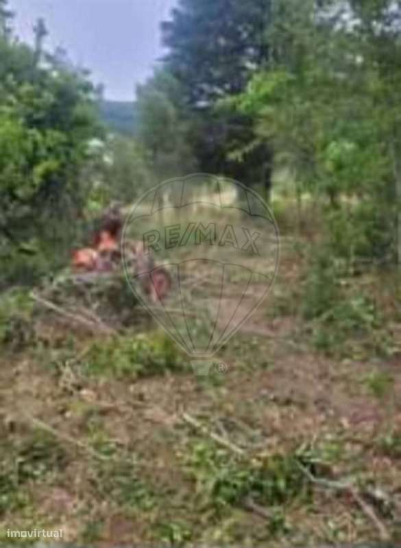 Terreno  para venda - Grande imagem: 2/8