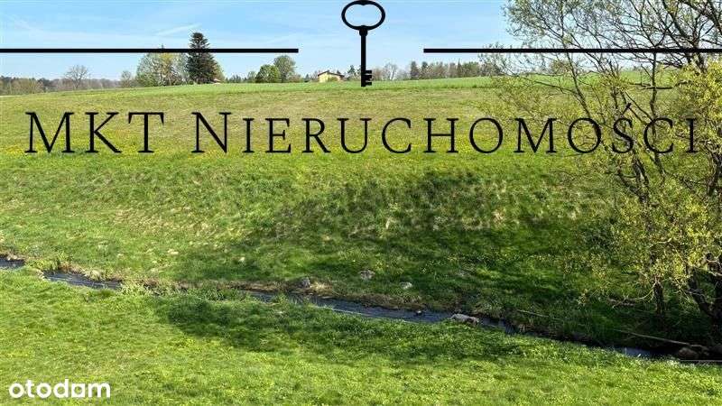 Działka - Jeleńska Huta - Pełny obrazek: 4/19