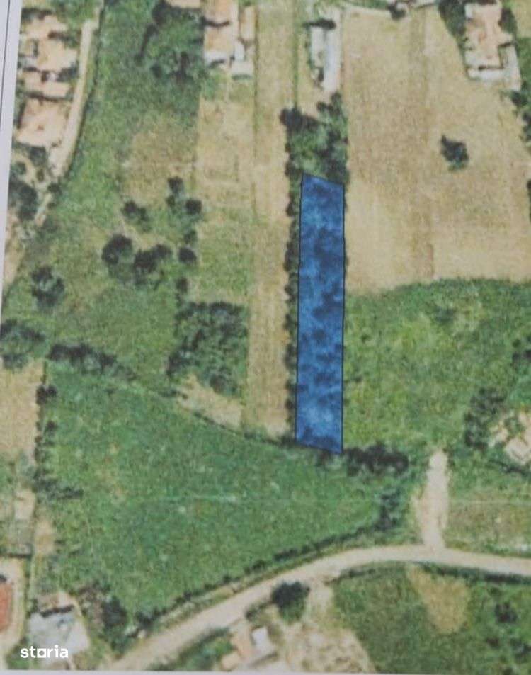 Teren / Jiblea Veche / Calimanesti / - Imagine principală: 2/2